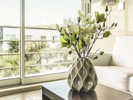 Decorative Plant Image