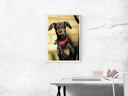 Example Poster Image